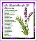 Organic Dried Lavender Buds   Flowers Aromatic Fragrance Soap Craft Wedding Tea
