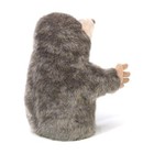 Folkmanis Little Mole 8 Inch Plush Puppet New In Stock