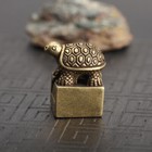 Chinese Old Antique Collectible Bronze  Recruit Money Turtle Seal Statue 
