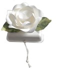 Biodegradable Urn Eco Burial Water Cremation Ocean Scattering Floating M