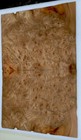 Elm Burl Wood Veneer  14 75   w X 16 25 L  No Backing 1 42    Thickness
