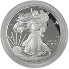 2019 W American Silver Eagle Bullion Proof  1 Coin Collectible Ogp Coa