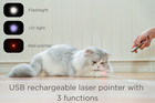 Usb Rechargeable Red Laser Pointer Cat Toy Plus A Premium Adjustable Swing Toy