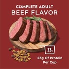 Purina Dog Chow Complete Adult Dry Dog Food Real Beef Flavor 18 5 Lb Bag Kibble