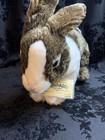 Webkinz Signature Dutch Bunny Rabbit Nwt   Unused Code  Fast Ship  Smoke-free