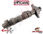 Xr650l Xr 650l Stage 1 Hotcam Hot Cam Camshaft Bearings Bearing Timing Chain Kit