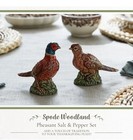 Spode 3 5  Pheasant-shaped Salt And Pepper Shakers - Dolomite Multicolor 