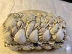 Philippine Seashell Sailor Valentine Jewelry Box Excellent Condition