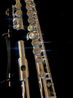 Gemeinhardt 22sp Overhauled Flute Offset G  C Foot Video Demo