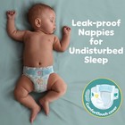 Pampers Baby Dry Size 7 Jumbo  Pack 58 Nappies