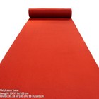 Red Carpet Aisle Runner Runway Rug Repeat Display For Wedding Banquet Prom Party