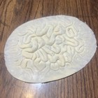 Latex Fx Appliance Brain Exposed Cranium Damage