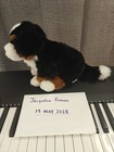 Ganz Webkinz Signature Bernese Mountain Dog Wks1017 Plush  No Code Tag  Retired