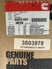 New Oem Cummins 4025162 Cylinder Kit Or 3803978