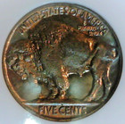 1927 Indian Head Buffalo Nickel Ngc Ms 64