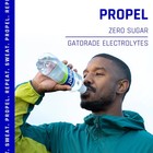 Propel  Peach  Zero Calorie Sports Drinking Water 16 9 Fl Oz  pack Of 12 