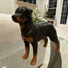 Standing Rottweiler Dog  Original Ceramic Hand Made Clay Signed M Wall Rare