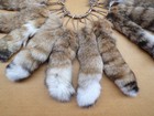 Xl Lynx Tail With Chain Attached Pro Tanned real Usa Fur keychain
