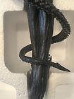 Alien Internecivus Raptus Sideshow Collectibles Statue 306 2000