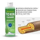 Advanced Toxin Cleanse Shampoo   Zydot Ultra Clean - Pass Hair Follicle Test Now