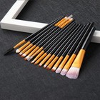 Makeup Brushes  20 Pcs Makeup Brush Set Tools Make-up Toiletry Kit