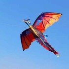 Large Single Line 3d Dragon Kite Long Tail Spring Outdoor Family Activity Toy us