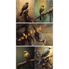 Redesign Prima Avian Dreamscape Tissue Decoupage Paper For Furniture  3 Pack 