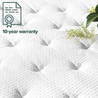 Zinus Support Plus 12  Queen Medium Hybrid Mattress