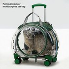 Transparent Trolley Case Travel Dog Cat Pet Bag Breathable Carrier Backpack Bag
