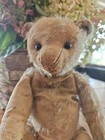 Antique 1908 Steiff 12  Teddy Bear With Blank Button   Shoebutton Eyes