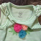Nwt Wonder Nation 3 Piece Baby Girl    beach Baby    Colorful Summer Set 3-6 Month