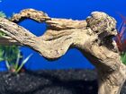 Natural Organic Fish Aquarium Driftwood Aquatic Tank Wood Aquascaping Branchy