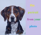 Custom Personalized Pet Portrait From Photo Made To Order Original Painting