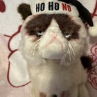 Gund Christmas Grumpy Cat Plush Stuffed Animal Santa Hat Ho Ho No 10    Collectib