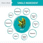 Probiotic Dog Probiotics Prebiotics Enzymes For Digestive Health Kelp Powder 4oz