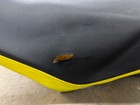 Ski-doo Renegade Enduro 600r 850 900 Mxz Summit Freeride 18 19 17 Oem Seat Gen 4