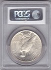 1925 P Peace Silver Dollar Gem Bu Graded Pcgs Ms63 U s   1 Coin