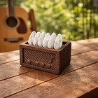 Guitar Pick Box Gift For Dad  Wooden Guitar Pick Holder  Unique Guitar Picks Set
