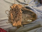 Antique Chokwe Mwana Pwo Mask From The Democratic Republic Of Congo