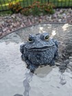 Resin Toad Green Frog Garden  patio Indoor Outdoor Statue Figurine 5  X 4 