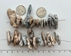 35 Adder Holey Beach Rocks Hag Stones Fairy Lucky Wish Mystic Natural 1     a2 Usa