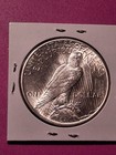 1925-p Peace Silver Dollar  Choice Bu  Better Grade 