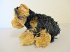 Webkinz Signature Short Haired Yorkie-wks1014 New  Sealed  Unused Code  Adorable