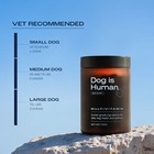 Dog Is Human Daily Multivitamin  beef  - Vet-made  Vermont Soft Chews Exp 07 27