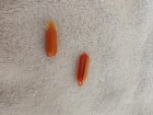 5 Vintage Micro Hot Dog Charm Prize Necklace