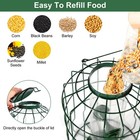 1pc Outdoor Wild Bird Feeder Squirrel-proof Chew-proof Metal Hanging Seed Feeder