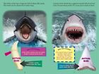 New Who Would Win  Killer Whale Vs  Great White Shark By Jerry Pallotta