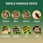 Mouse Rodent Repellent  12packs