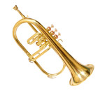 Handcrafted Flugelhorn 3 Valve Brass Bb Brass Finish By Zaima  Case  Mouthpiece