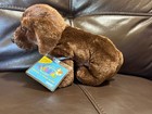 Webkinz Chocolate Lab Retired Hm138 Brand New With Sealed Code